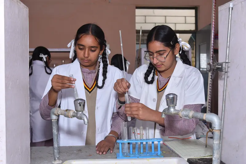Students with test tubes in the chemistry lab